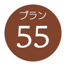 plan55